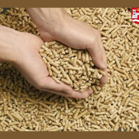 Zawarto umowy na zakup i dostawę opału