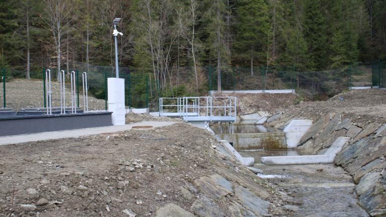 IMG_0288 (Niestandardowy).JPG