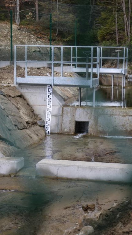 IMG_0291 (Niestandardowy).JPG