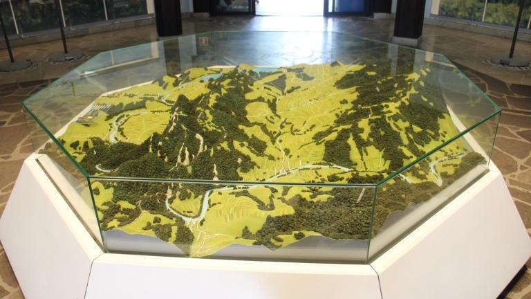 IMG_1 (6) (Copy).JPG