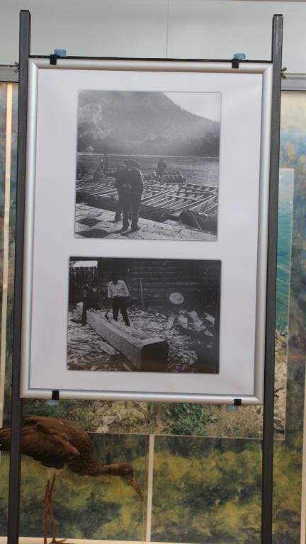 IMG_1817 (Niestandardowy).JPG