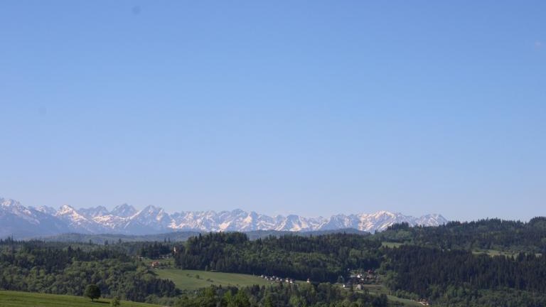 IMG_2315 (Niestandardowy).JPG