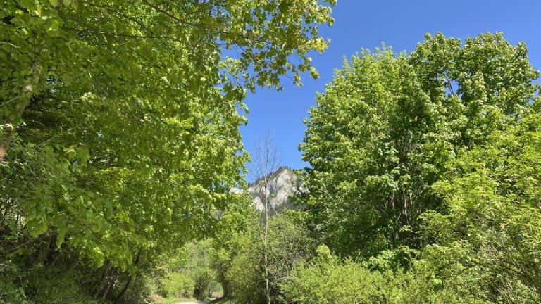 Messenger_creation_7feac3ab-e061-49a5-957a-4ee55b9b9b43 (Niestandardowy).jpeg