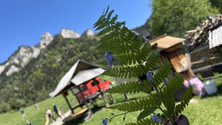 Messenger_creation_a7f01b2a-539d-469a-ac66-a15a1972c9ec (Niestandardowy).jpeg