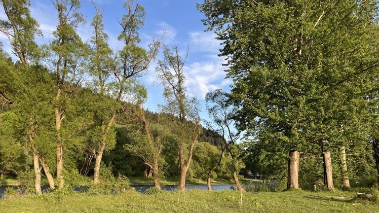 Messenger_creation_b8955922-6f8c-426b-a503-f74b8041b73e (Niestandardowy).jpeg