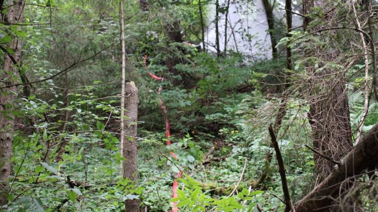 IMG_3988 (Niestandardowy).JPG