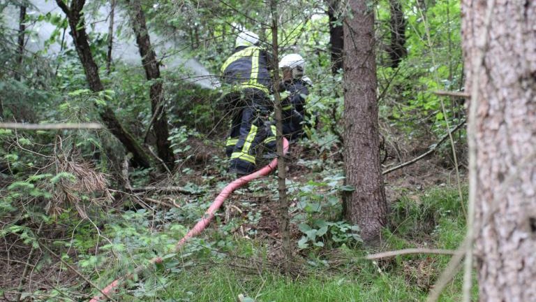 IMG_3989 (Niestandardowy).JPG