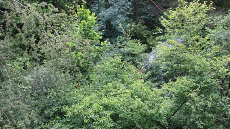 IMG_3991 (Niestandardowy).JPG