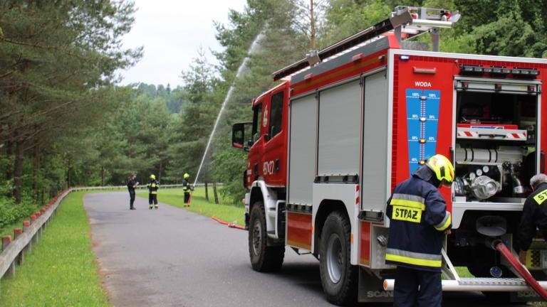 IMG_3992 (Niestandardowy).JPG