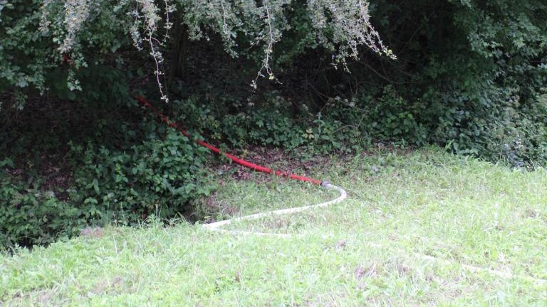 IMG_3995 (Niestandardowy).JPG