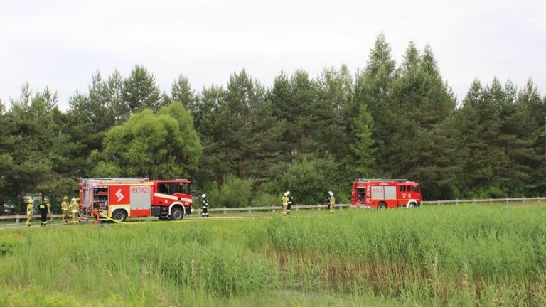 IMG_4006 (Niestandardowy).JPG