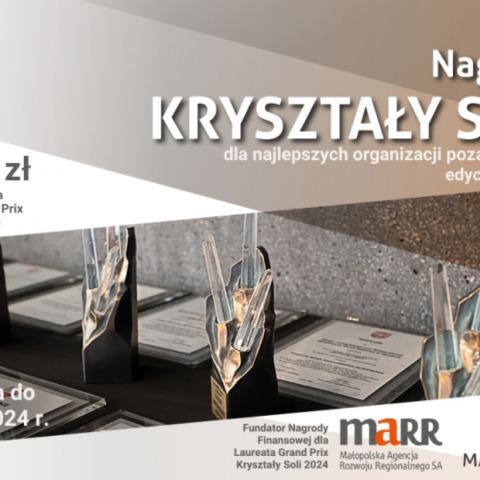 Nagroda Kryształy Soli – zgłoś do nagrody najlepszą organizację