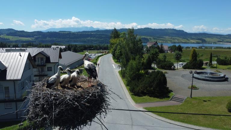 DJI_0554 (Niestandardowy).JPG