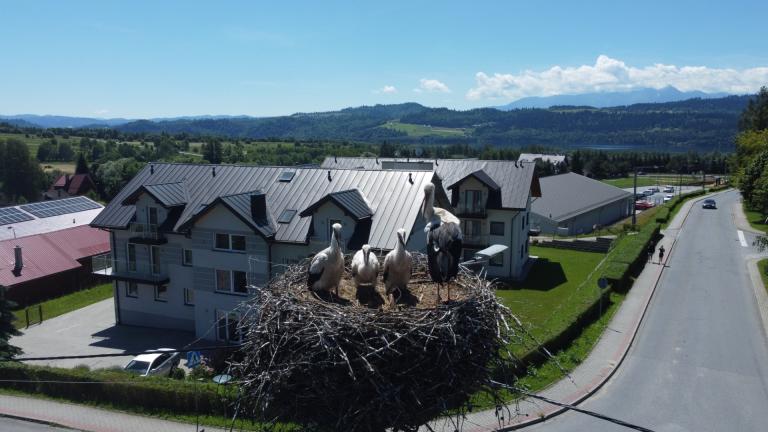 DJI_0555 (Niestandardowy).JPG