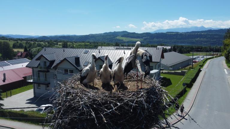 DJI_0556 (Niestandardowy).JPG