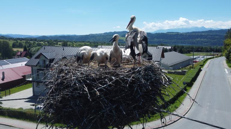 DJI_0557 (Niestandardowy).JPG