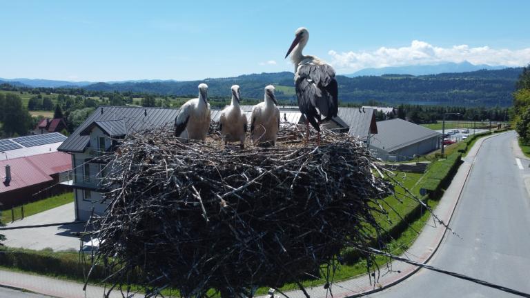 DJI_0558 (Niestandardowy).JPG