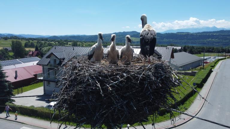 DJI_0560 (Niestandardowy).JPG