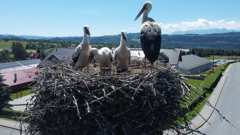 DJI_0562 (Niestandardowy).JPG