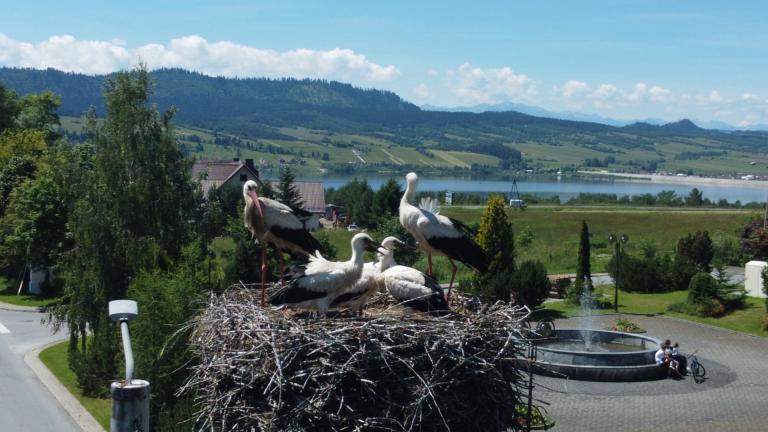 DJI_0564 (Niestandardowy).JPG