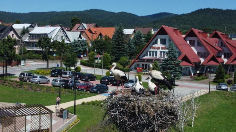 DJI_0569 (Niestandardowy).JPG