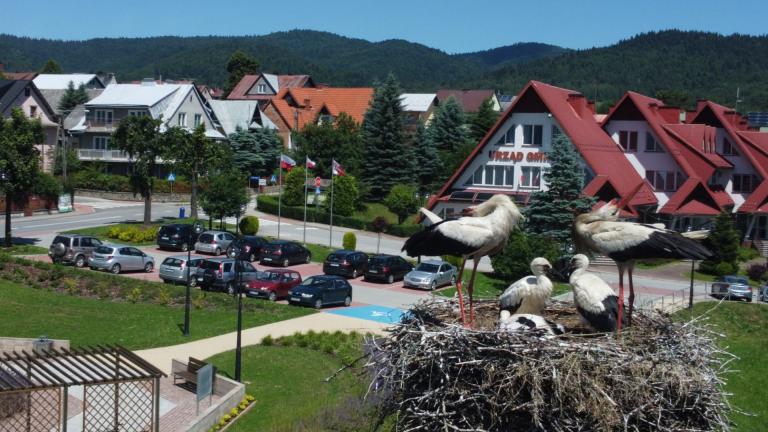 DJI_0572 (Niestandardowy).JPG