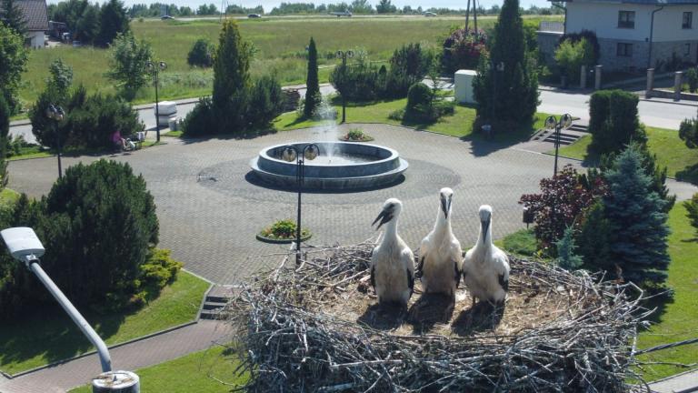 DJI_0573 (Niestandardowy).JPG