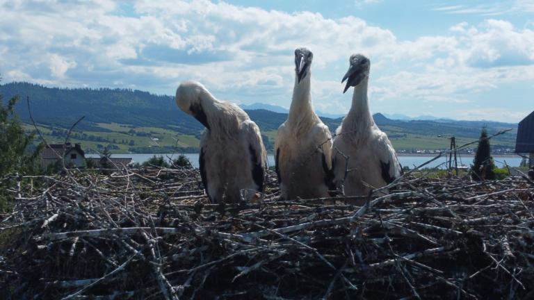 DJI_0583 (Niestandardowy).JPG