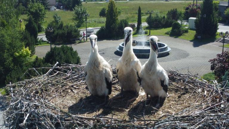 DJI_0585 (Niestandardowy).JPG