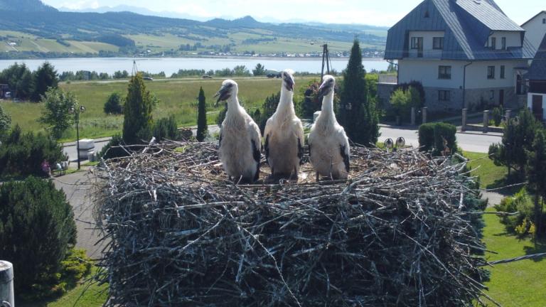 DJI_0586 (Niestandardowy).JPG