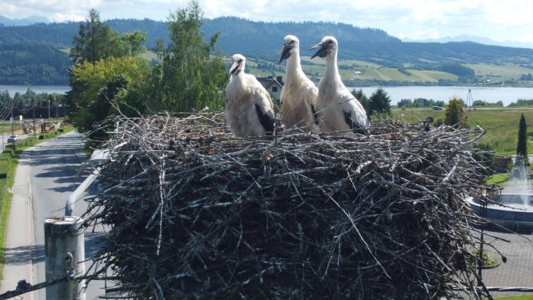 DJI_0587 (Niestandardowy).JPG