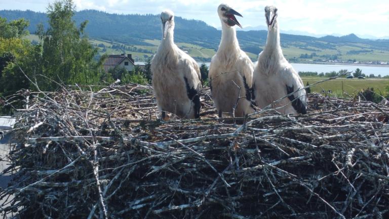 DJI_0590 (Niestandardowy).JPG