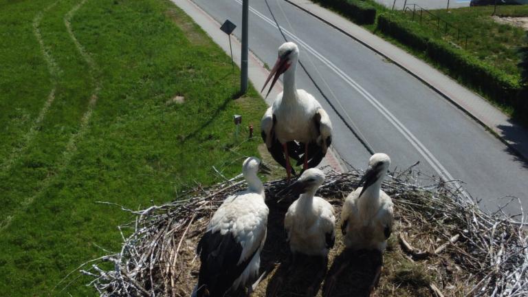 DJI_0648 (Niestandardowy).JPG