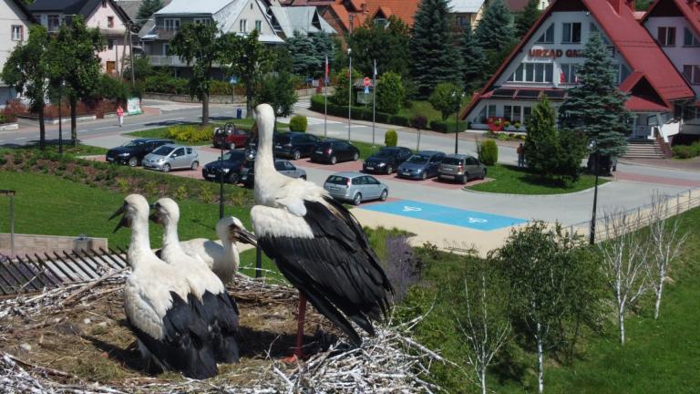 DJI_0654 (Niestandardowy).JPG