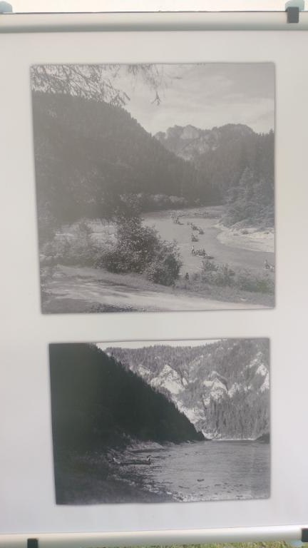 IMG_20240728_143908300 (Niestandardowy).jpg