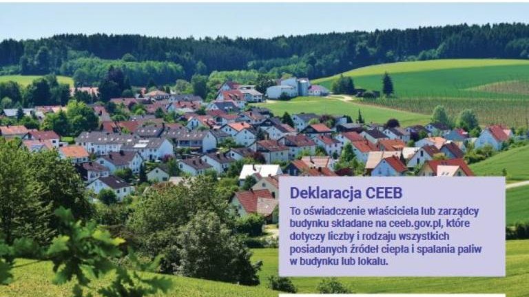 Deklaracja (Niestandardowy).JPG