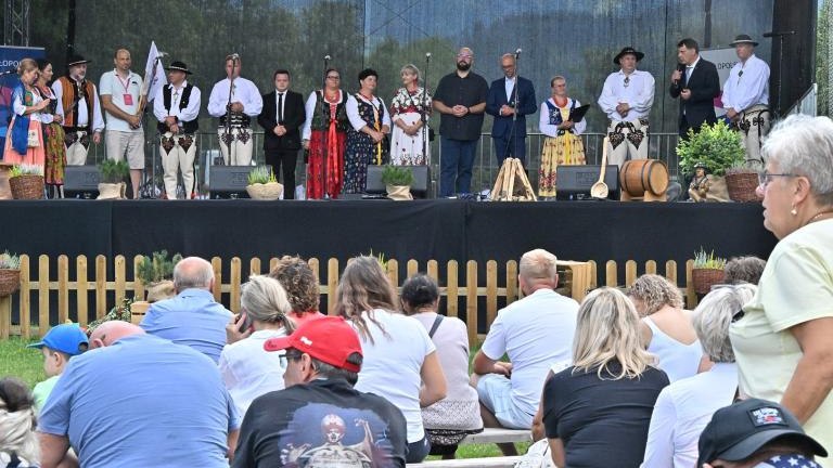 PMU09535 (Niestandardowy).JPG