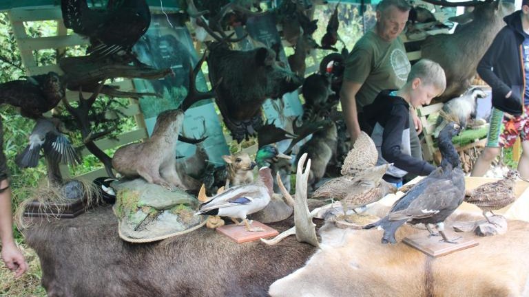 IMG_5458 (Niestandardowy).JPG