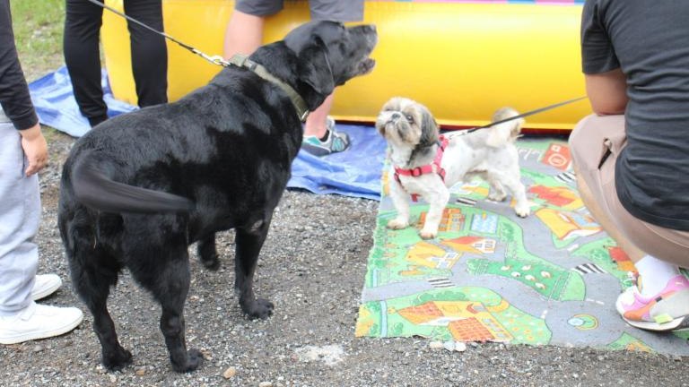 IMG_5640 (Niestandardowy).JPG