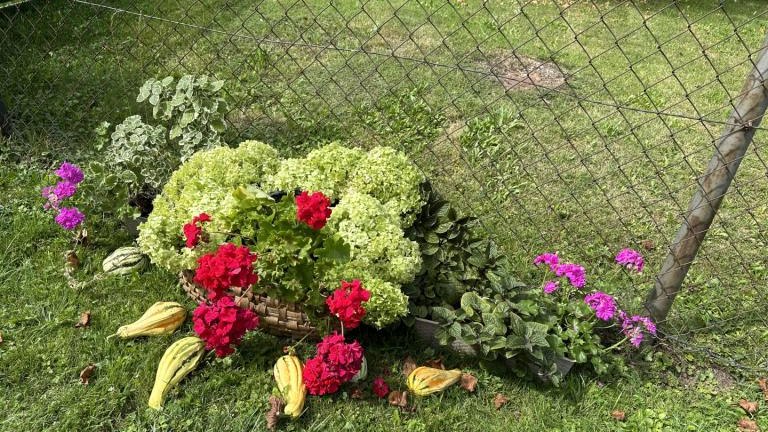 1 (5) (Niestandardowy).jpeg