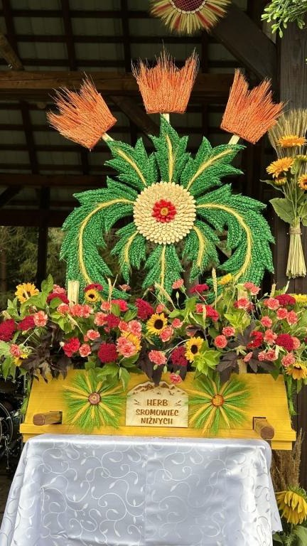 IMG_1485 (Niestandardowy) (Niestandardowy).jpeg