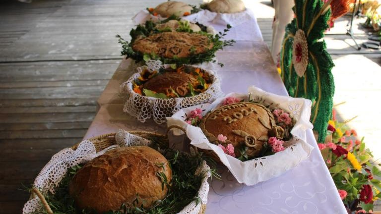 IMG_5719 (Niestandardowy).JPG