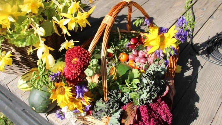 IMG_5723 (Niestandardowy).JPG