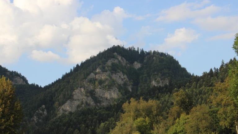 IMG_5786 (Niestandardowy).JPG