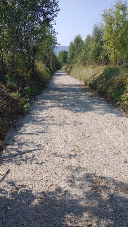 IMG_20240828_101514772 (Niestandardowy).jpg