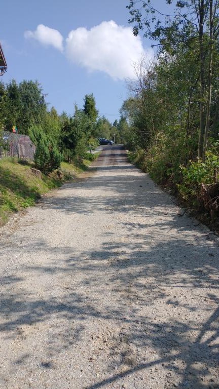 IMG_20240828_101532076 (Niestandardowy).jpg