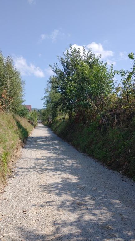 IMG_20240828_101905933 (Niestandardowy).jpg