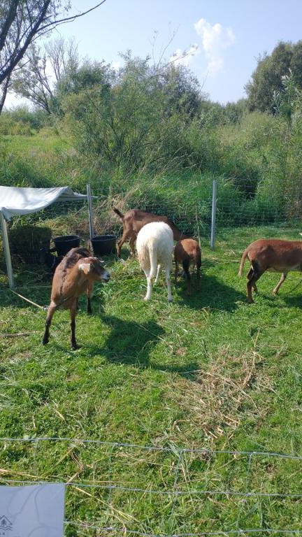 IMG_20240901_144721217 (Niestandardowy).jpg