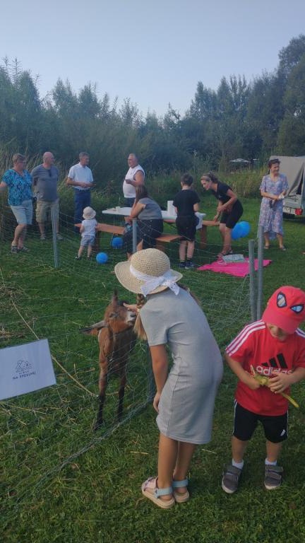 IMG_20240901_162559999 (Niestandardowy).jpg