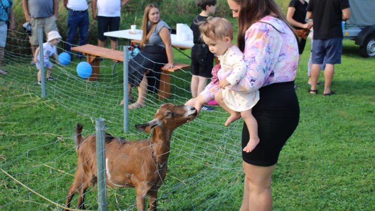 IMG_6208 (Niestandardowy).JPG